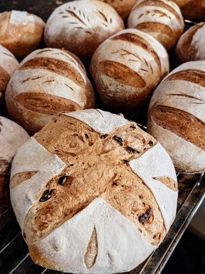 Round sourdough loaves cooling on a rack, the front one scored with a cross and studded with dried fruit